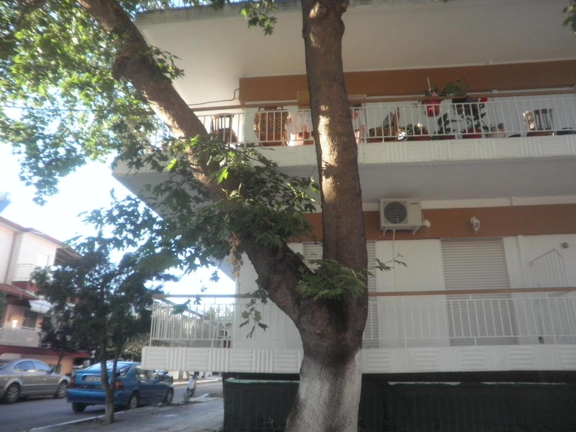 Apartments Anesis Pantazis أسبروبالتا المظهر الخارجي الصورة